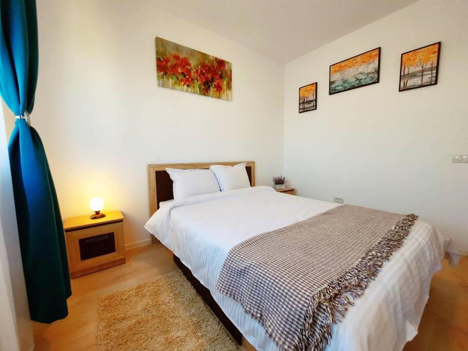 Beautiful Panoramic Central Apartment - City Of Mara Timisoara Esterno foto
