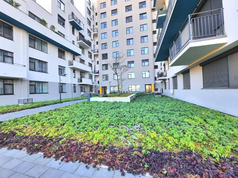 Beautiful Panoramic Central Apartment - City Of Mara Timisoara Esterno foto