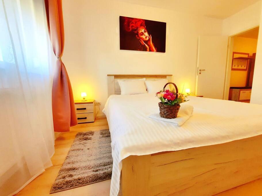 Beautiful Panoramic Central Apartment - City Of Mara Timisoara Esterno foto