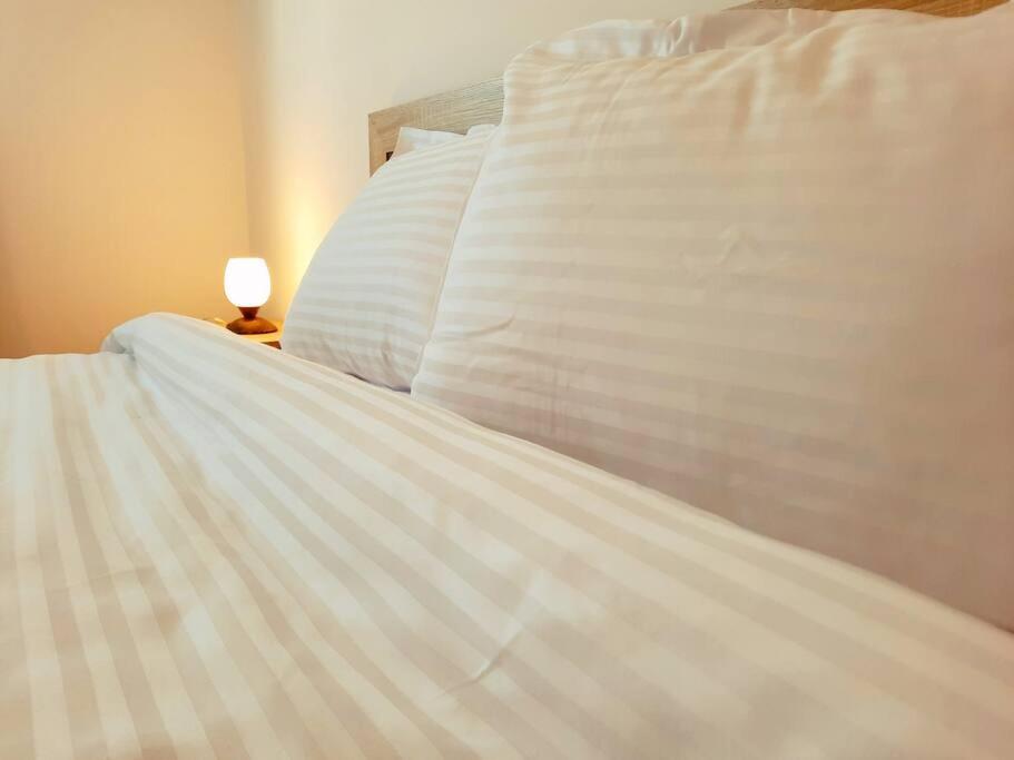 Beautiful Panoramic Central Apartment - City Of Mara Timisoara Esterno foto